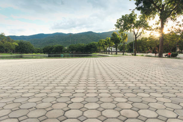 Best Brick Driveway Pavers  in Hamilton, TX