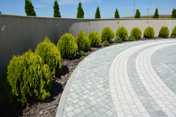 Best Residential Paver Driveway  in Hamilton, TX